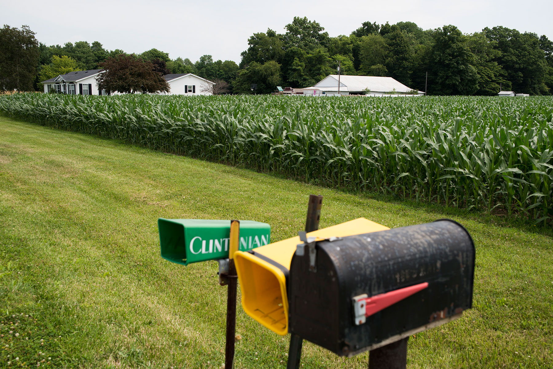 Mailboxes and a cornfield create a typical scene in Newport, Indiana. Just past the cornfield, several people are being baptized in a pastor’s pool, making this a special day for the town. (Roman Knertser/News21)