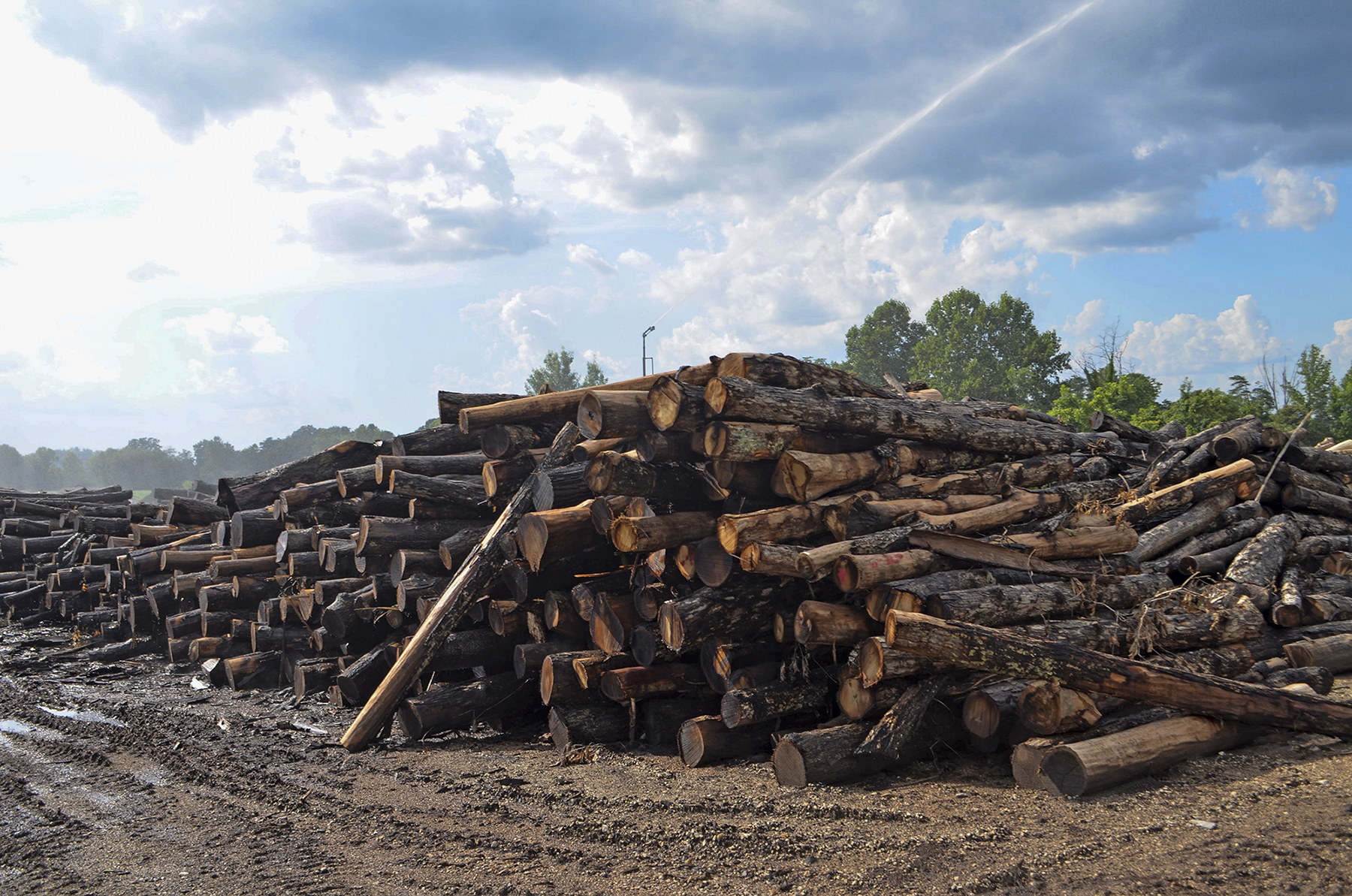 Water sprinkles piles of logs at Honest Abe Log Homes in Clay County, Tennessee. The family-owned business used to employ about 500 but now employs 130. (Lian Bunny/News21)
